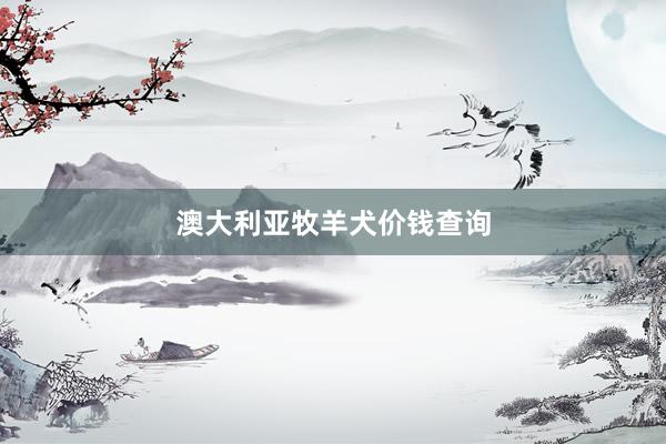 澳大利亚牧羊犬价钱查询